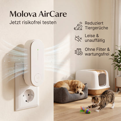 Molova AirCare