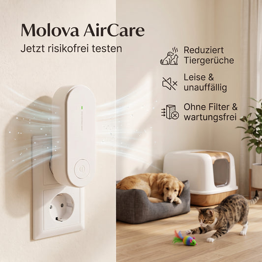 Molova AirCare