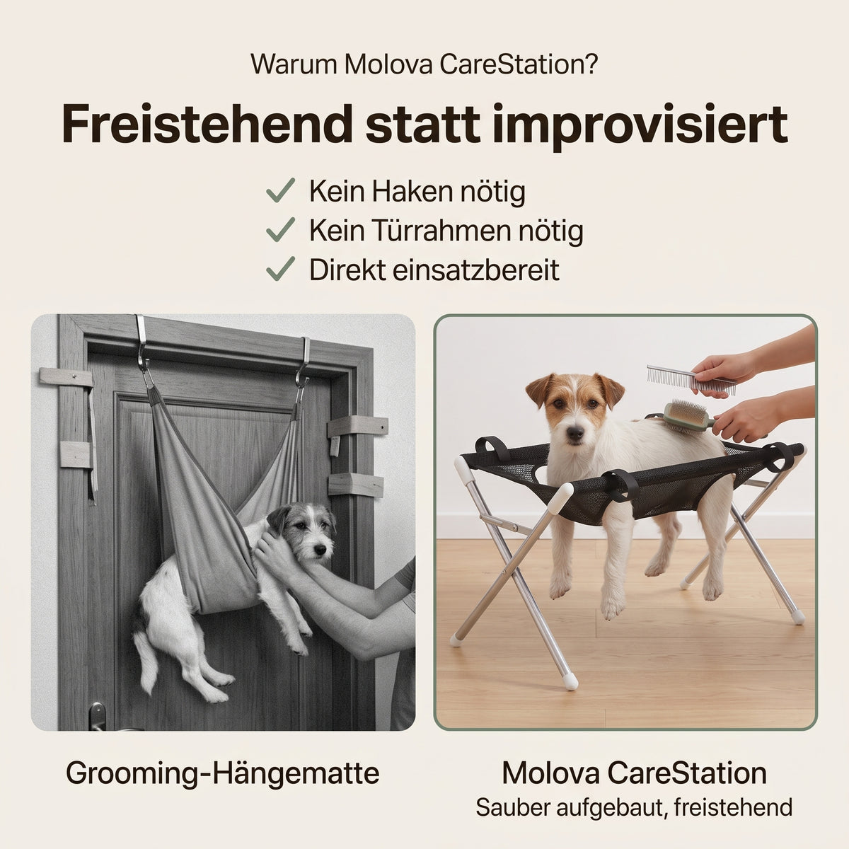 Molova CareStation