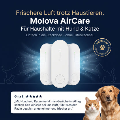 Molova AirCare