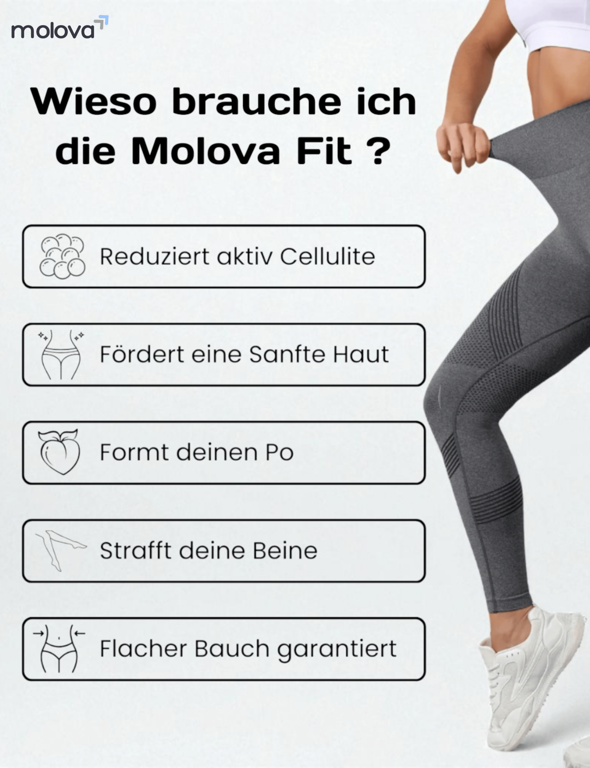 molova.de