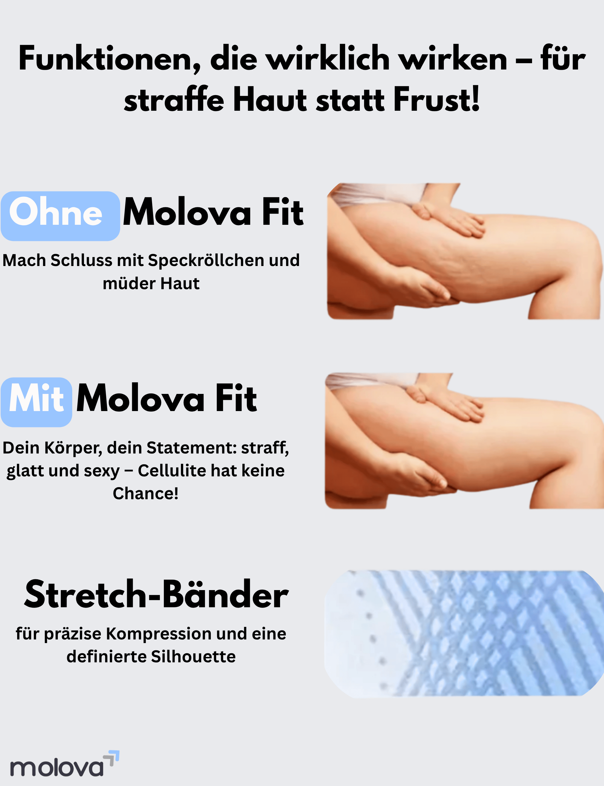 molova.de